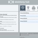 Steinberg-hub