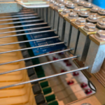 Fender Rhodes Mechanik
