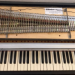Fender Rhodes Mechanik